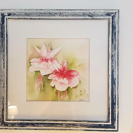 Moulin De Cot Lejlighed